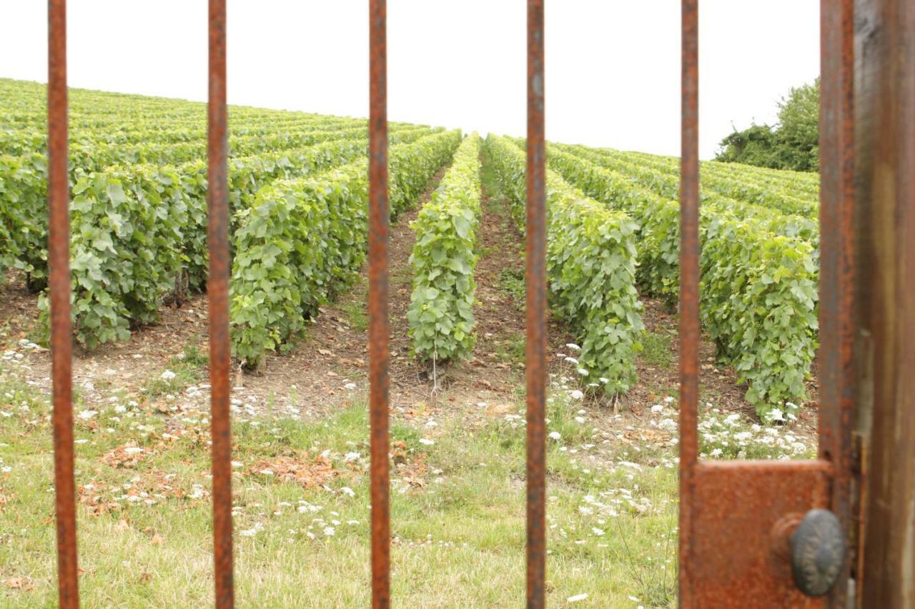 Au Coeur Des Vignes Bed & Breakfast Épernay Exterior foto